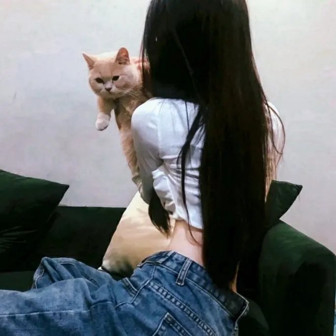倾城歌手