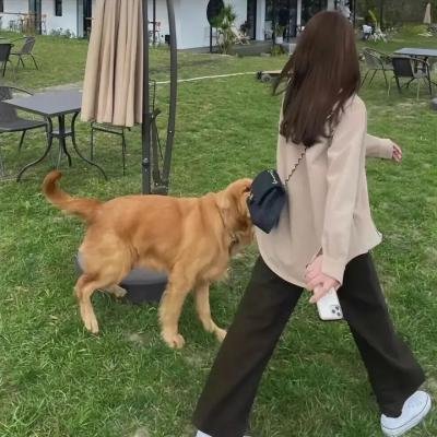 觉悟吧!那边的女孩